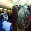 Orthodox Jews Covering Themselves In Bags On Planes Is "For Sure Unusual," Says El Al Rep